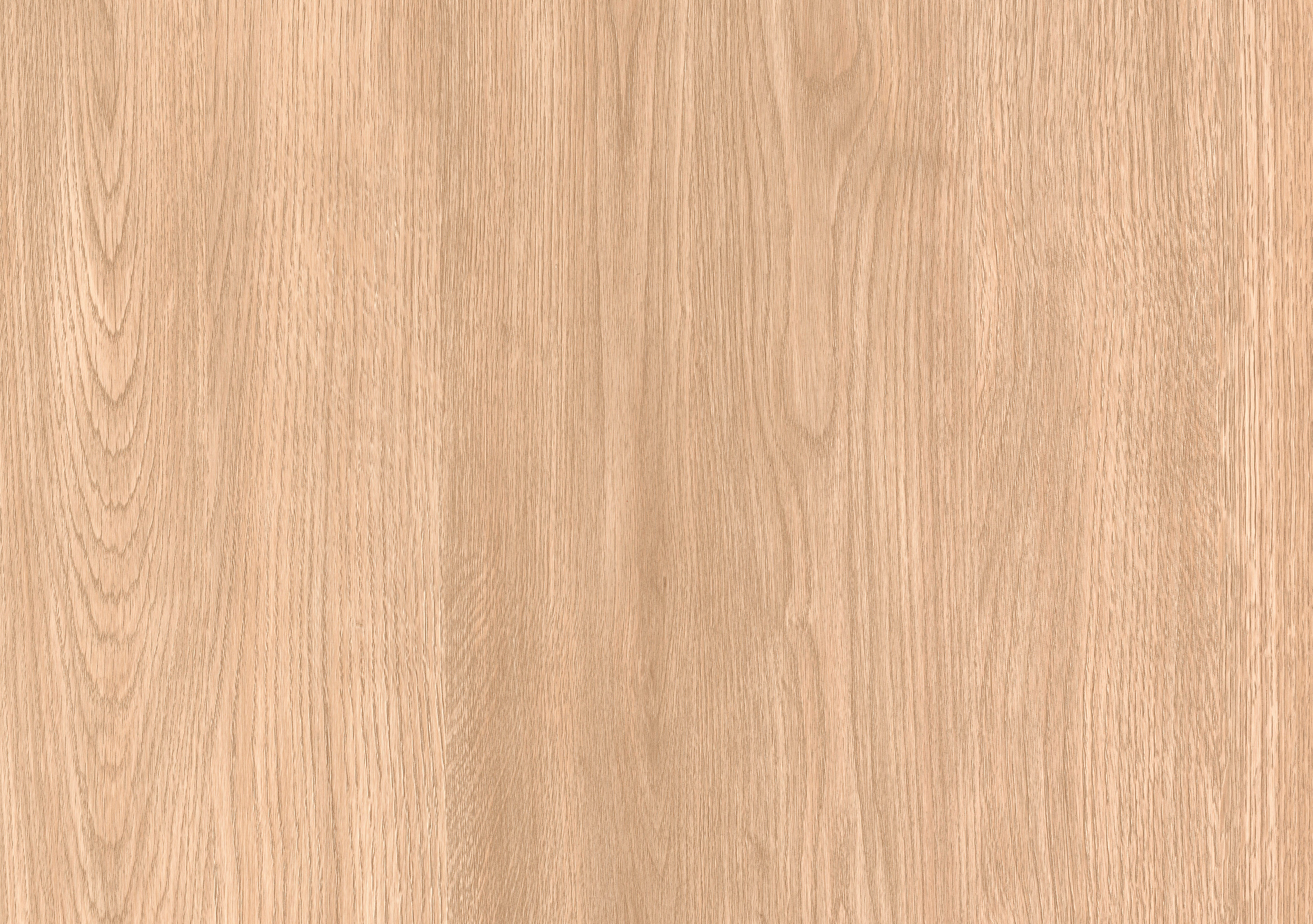 Дуб Европейский соломенный