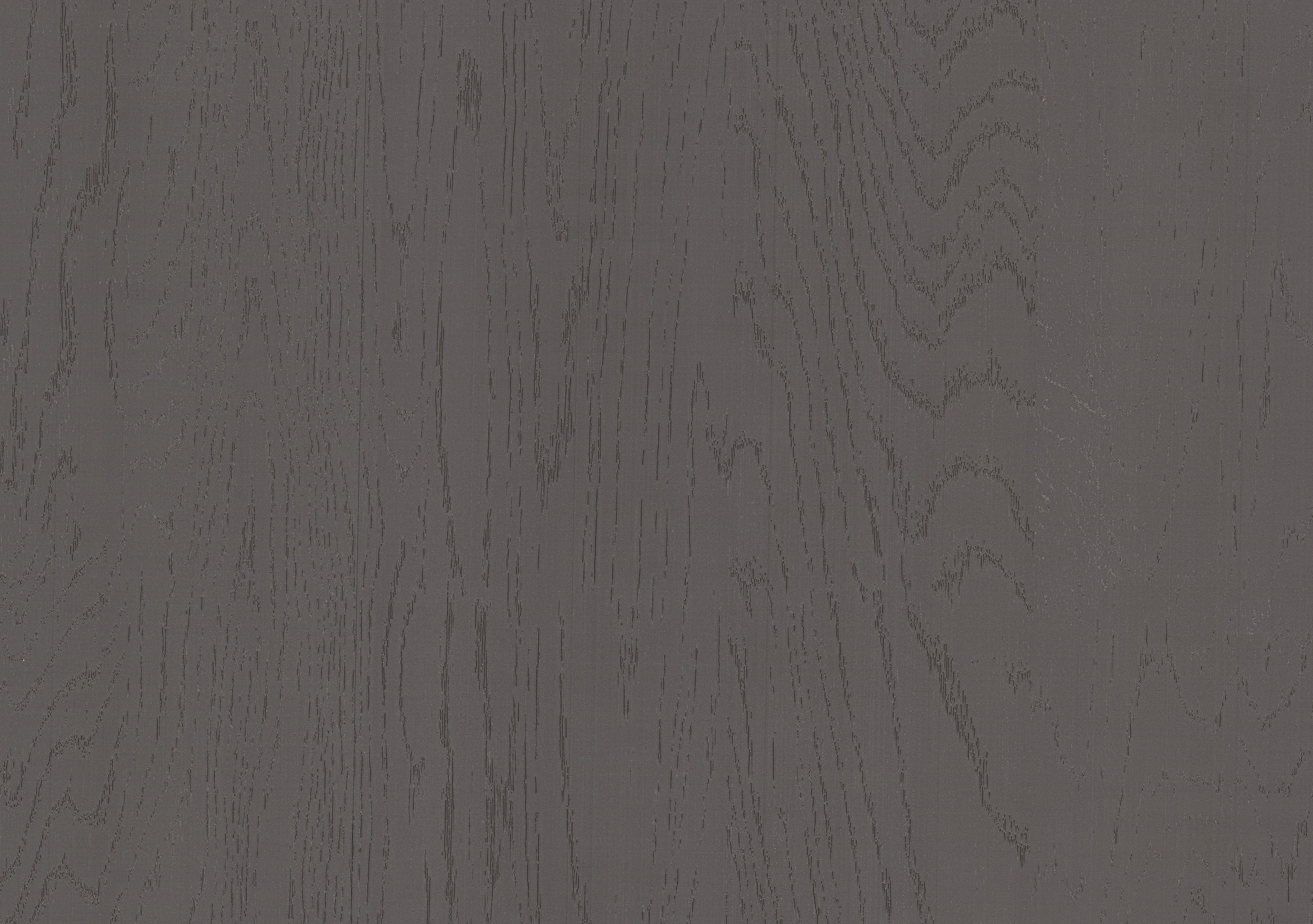 Дуб Асбери графитовый