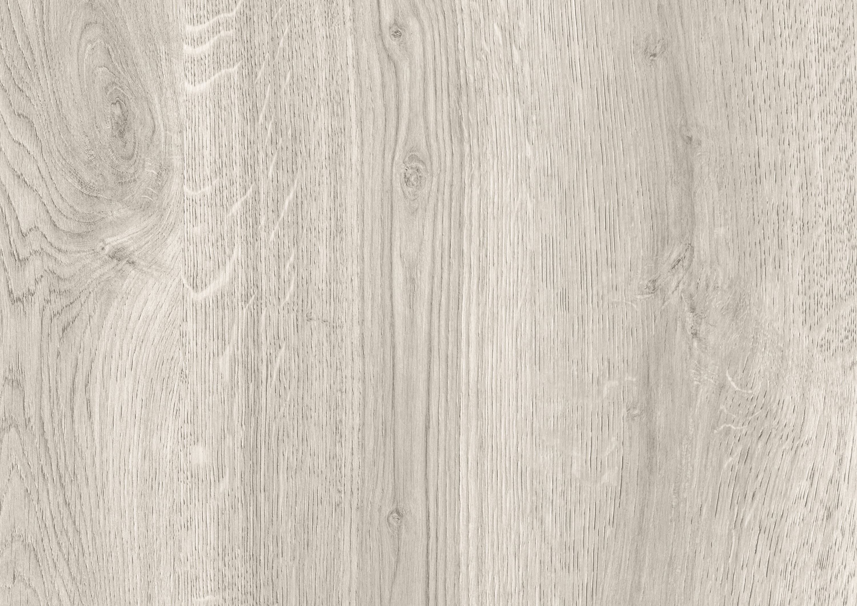 Орех лучистый серый