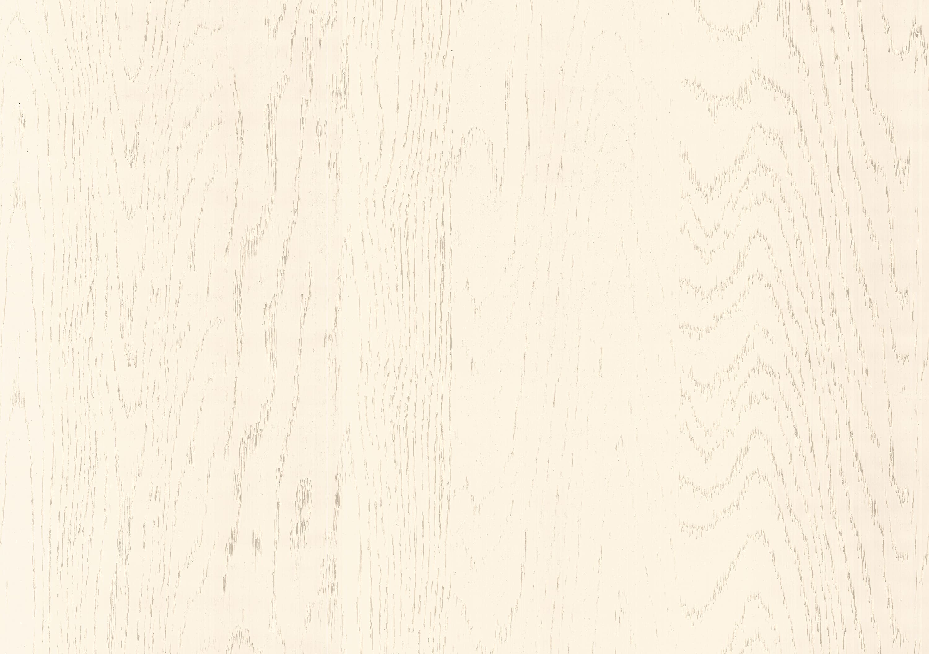 Дуб Асбери кремовый