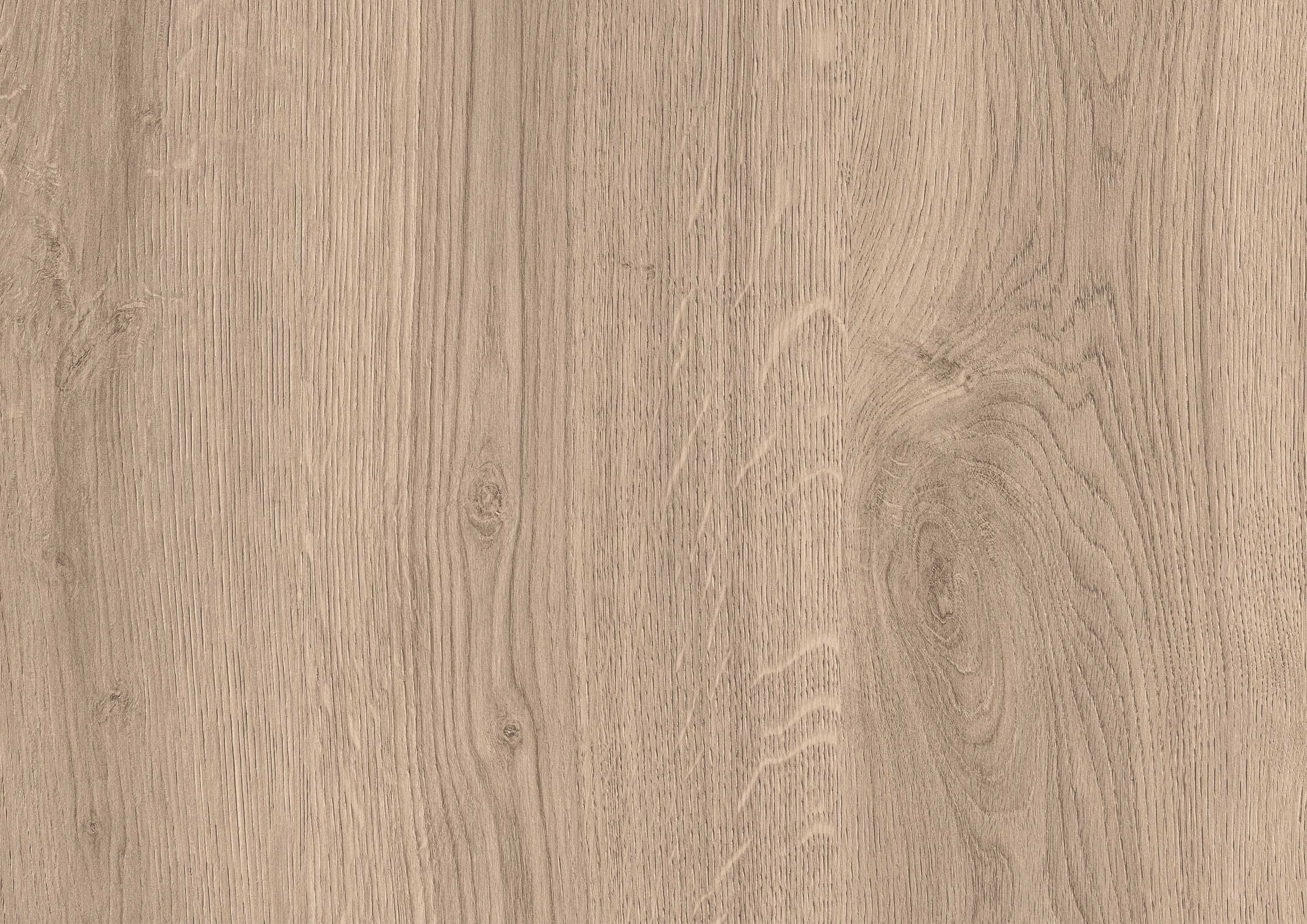 Орех лучистый европейский