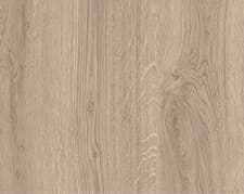 Орех лучистый европейский