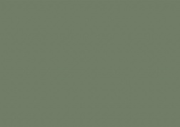 Супер мат AV Зеленый Дюбюффе