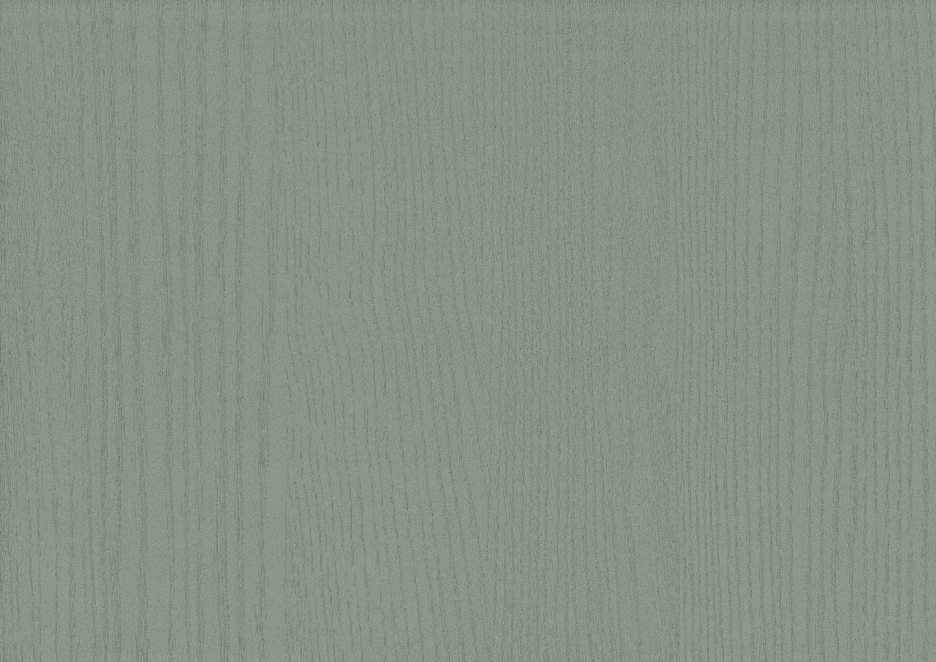 Структура дерева Зеленый тростник