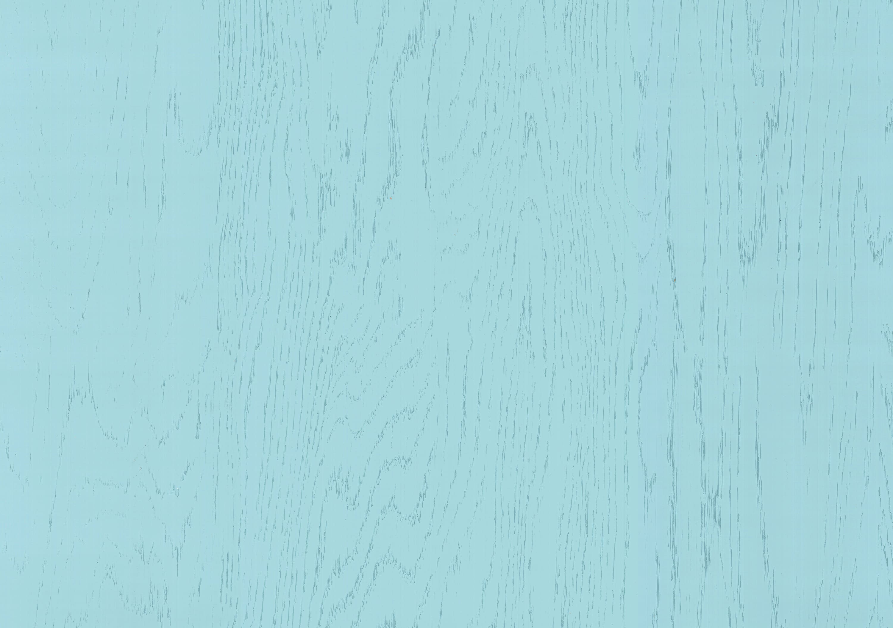 Дуб Асбери голубой