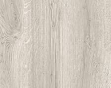 Орех лучистый серый