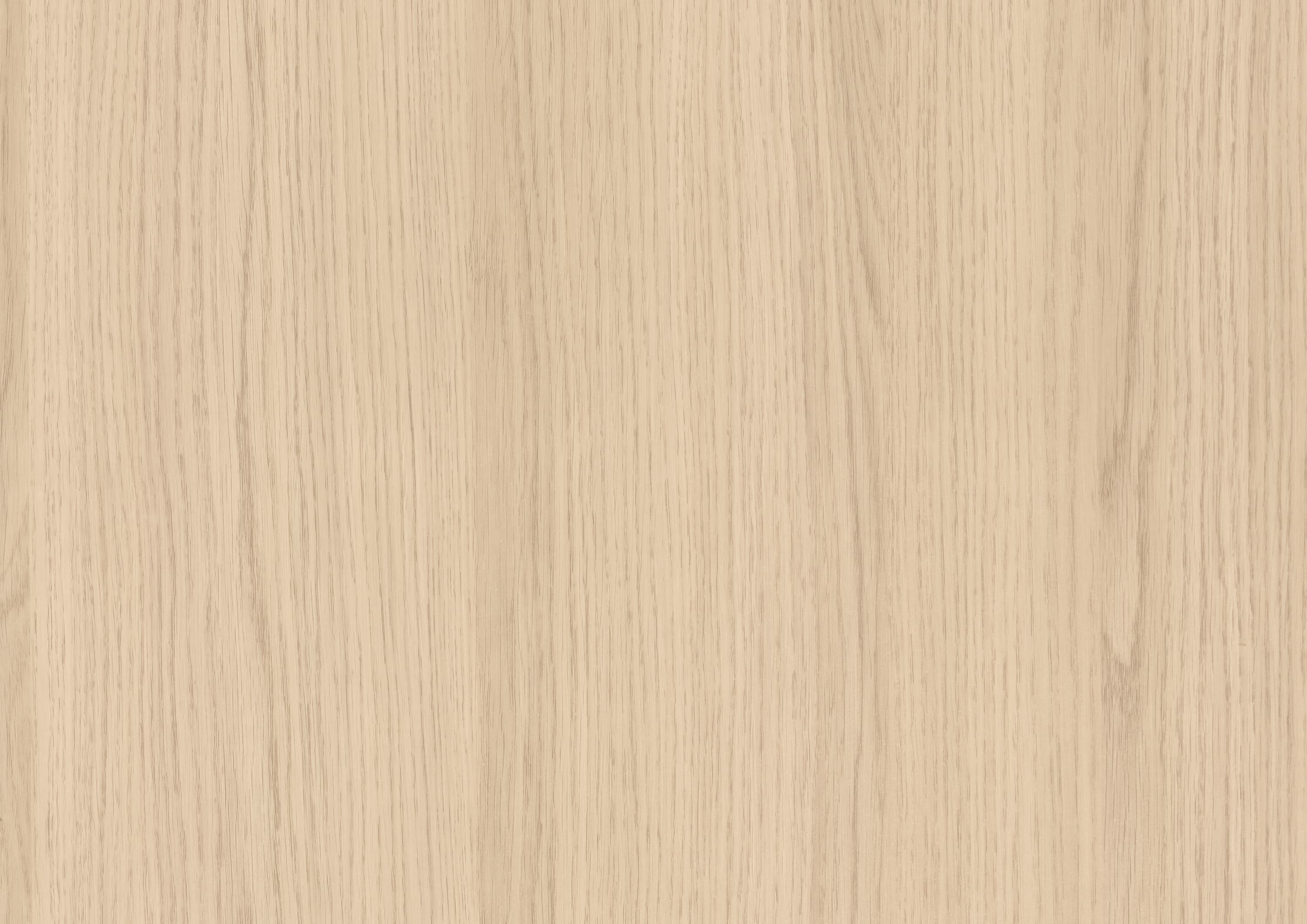 Дуб Виченцо светлый