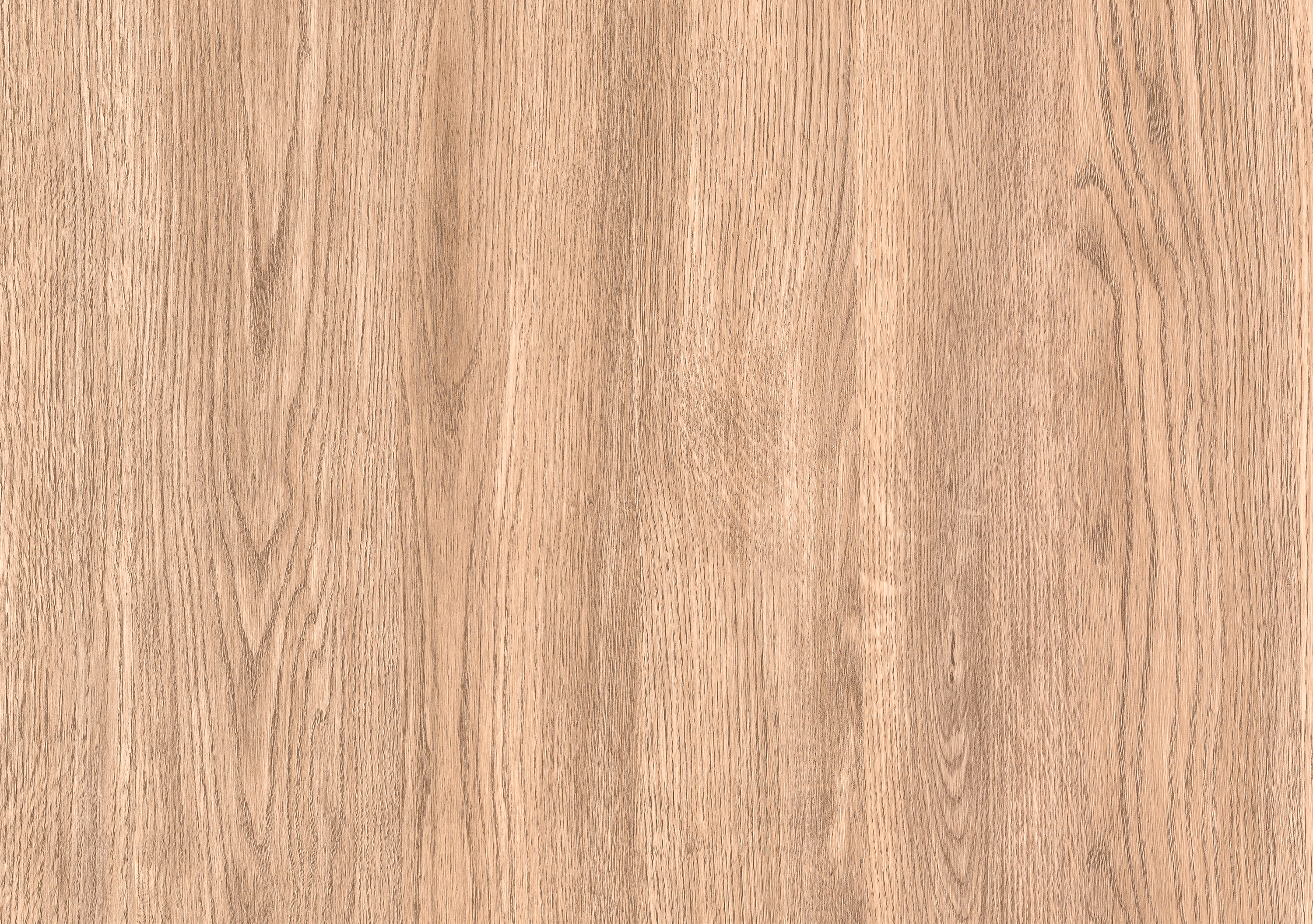 Дуб Европейский красный