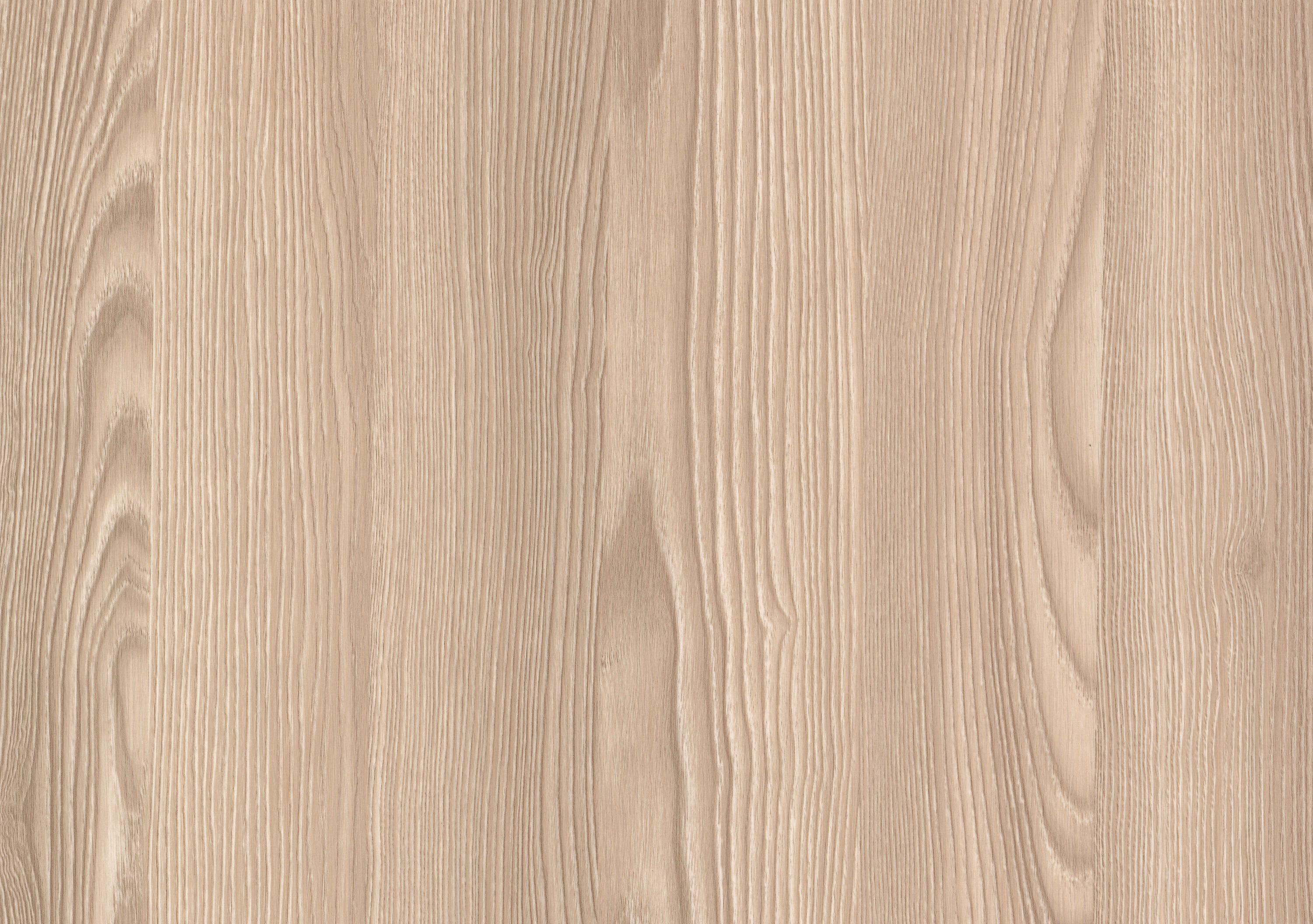 Ясень ривьера радужный