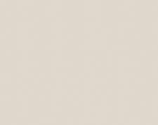 Супер мат AV Кашемир светлый