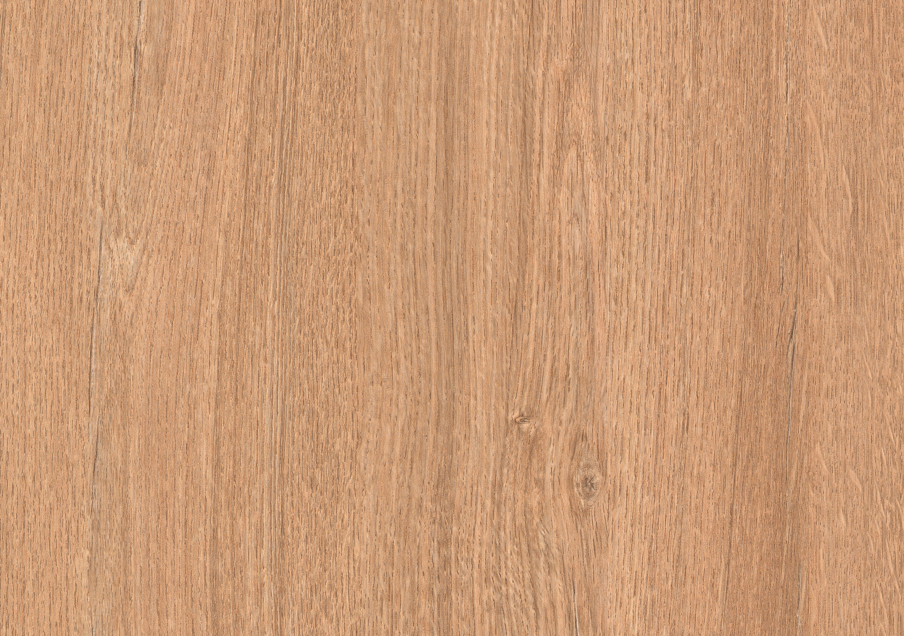 Дуб Мичиганский