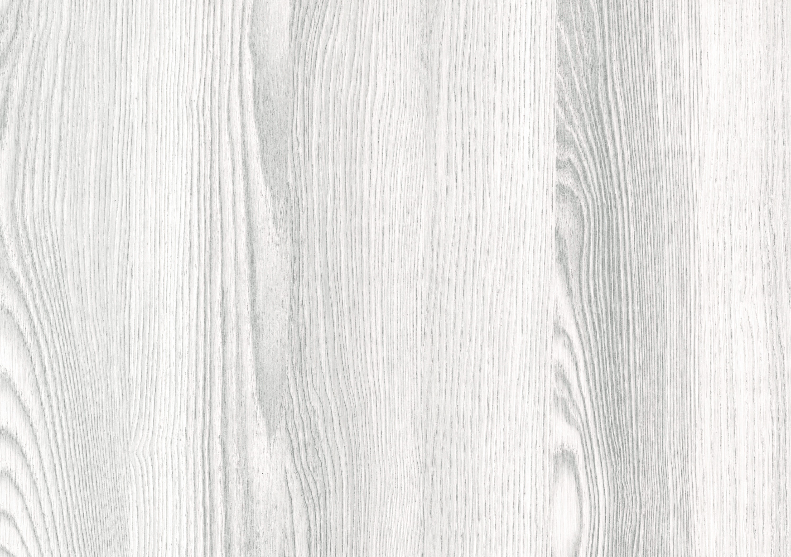 Ясень ривьера серый