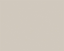 Супер мат PST Серая глина - нет в каталоге с февраля 2025 Супер мат PST Серая глина - нет в каталоге с февраля 2025