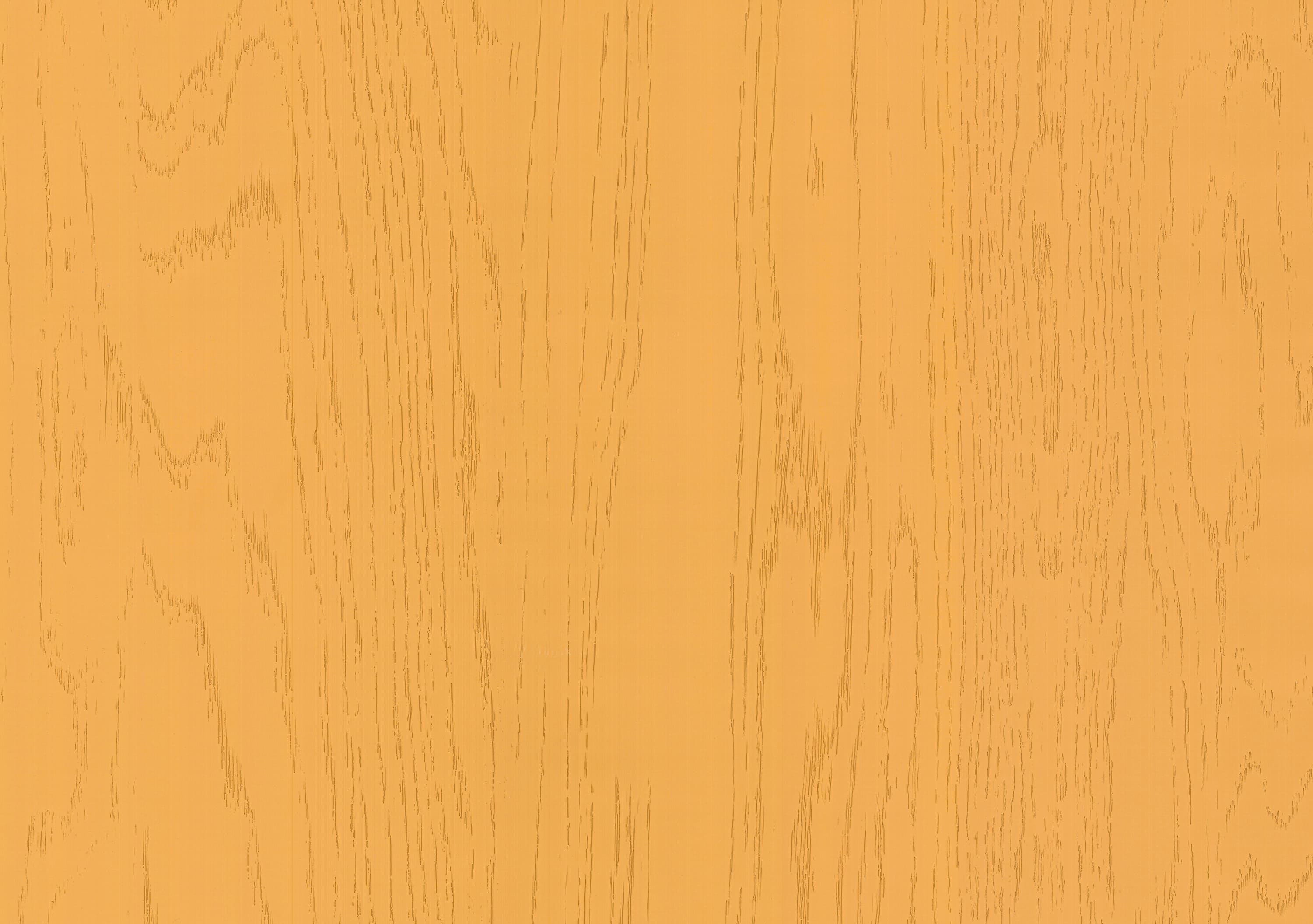 Дуб Асбери горчичный