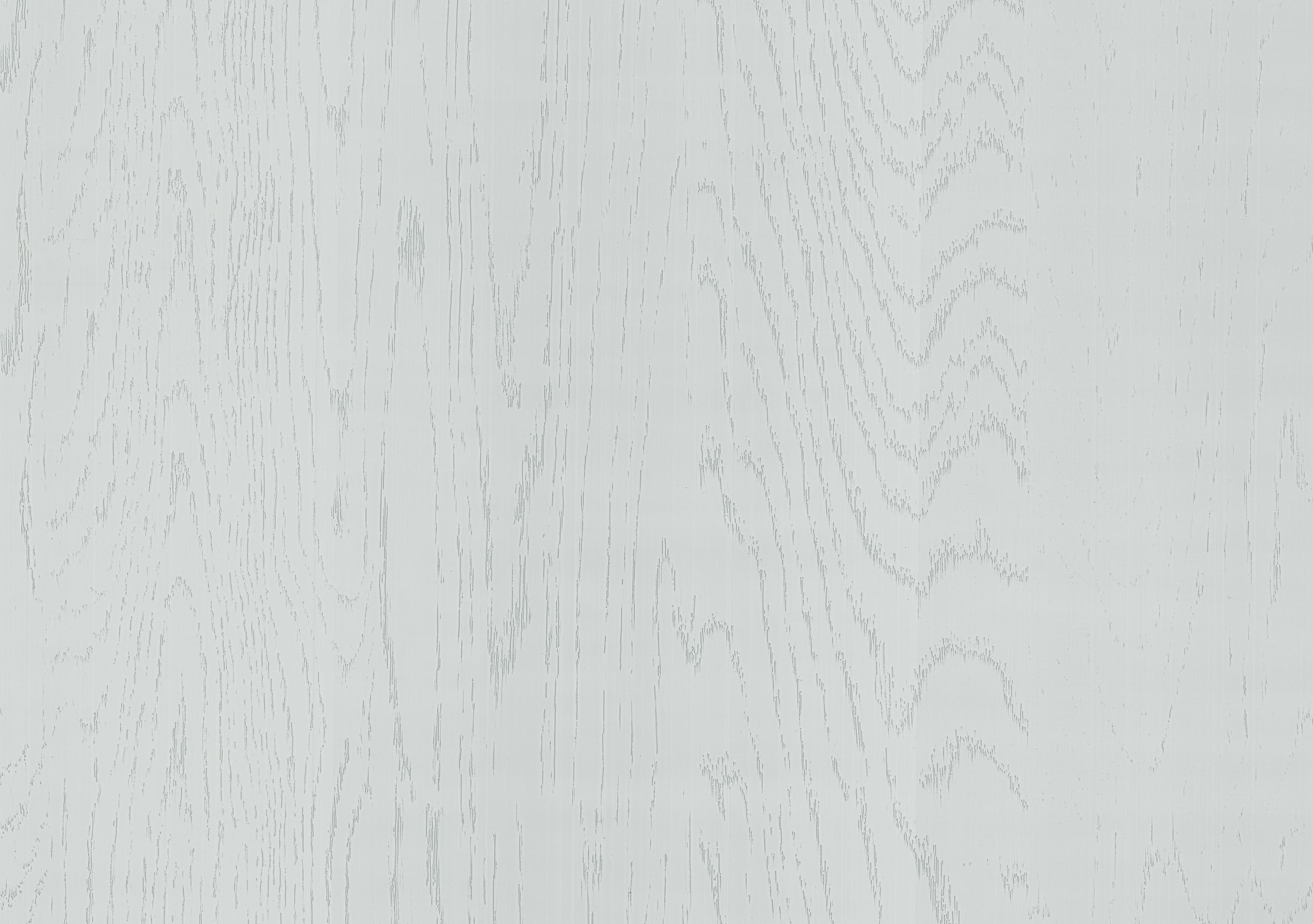 Дуб Асбери серый