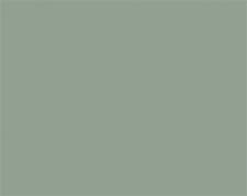 Ультра Зеленый тростник