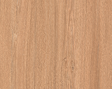 Дуб Мичиганский