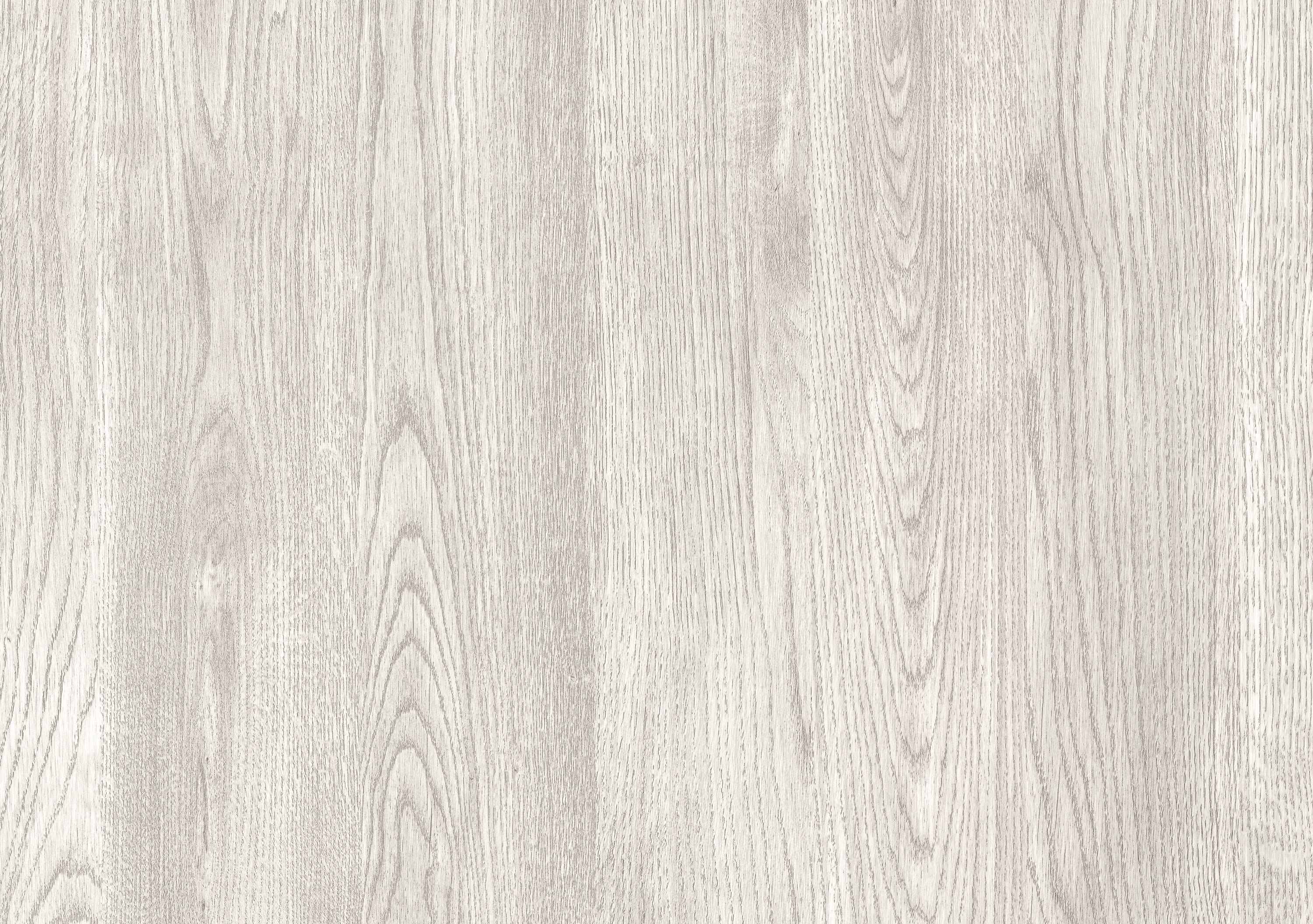 Дуб Европейский серый