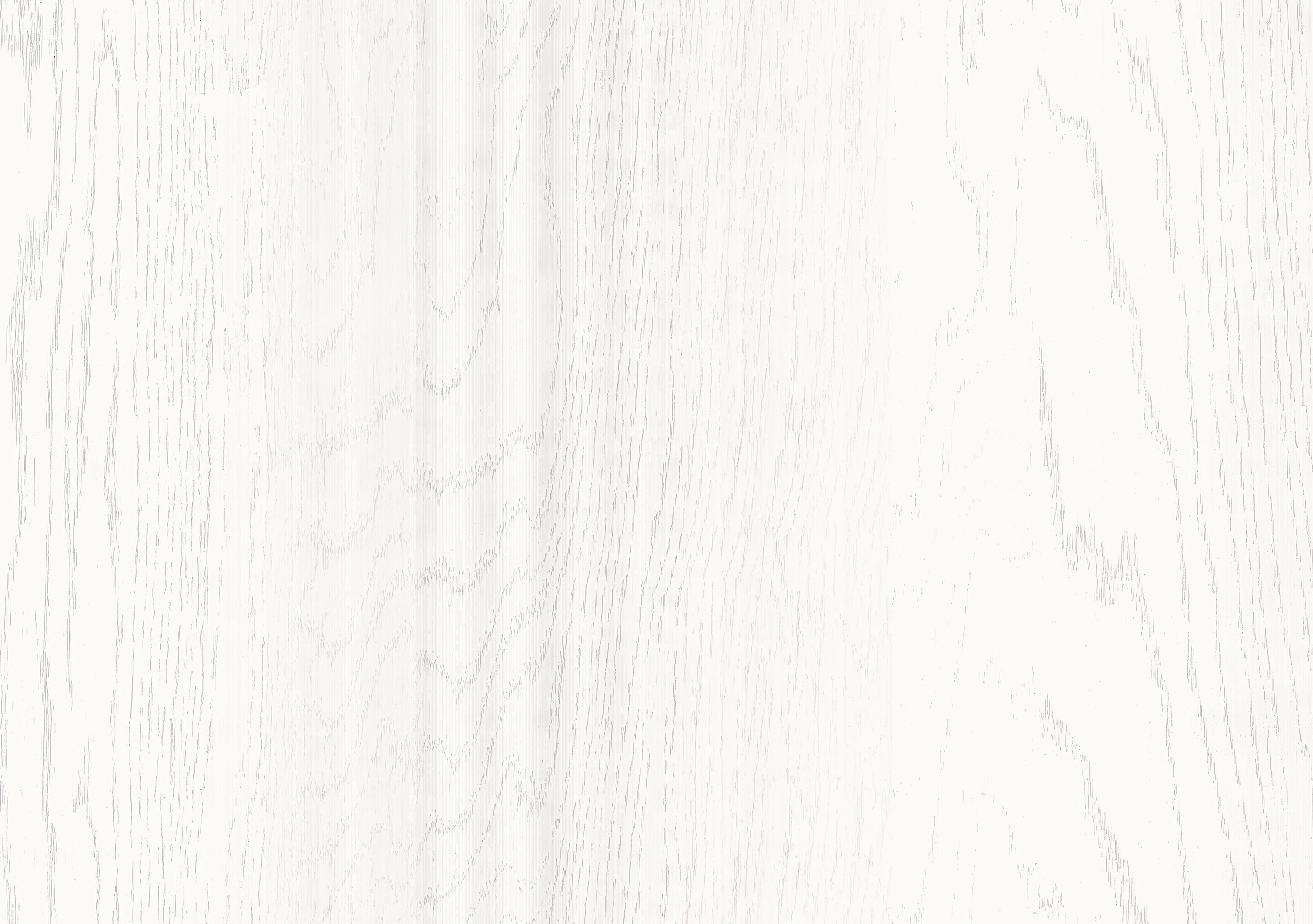 Дуб Асбери белый