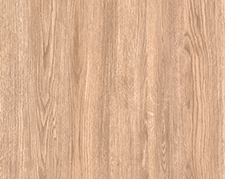 Дуб Европейский красный