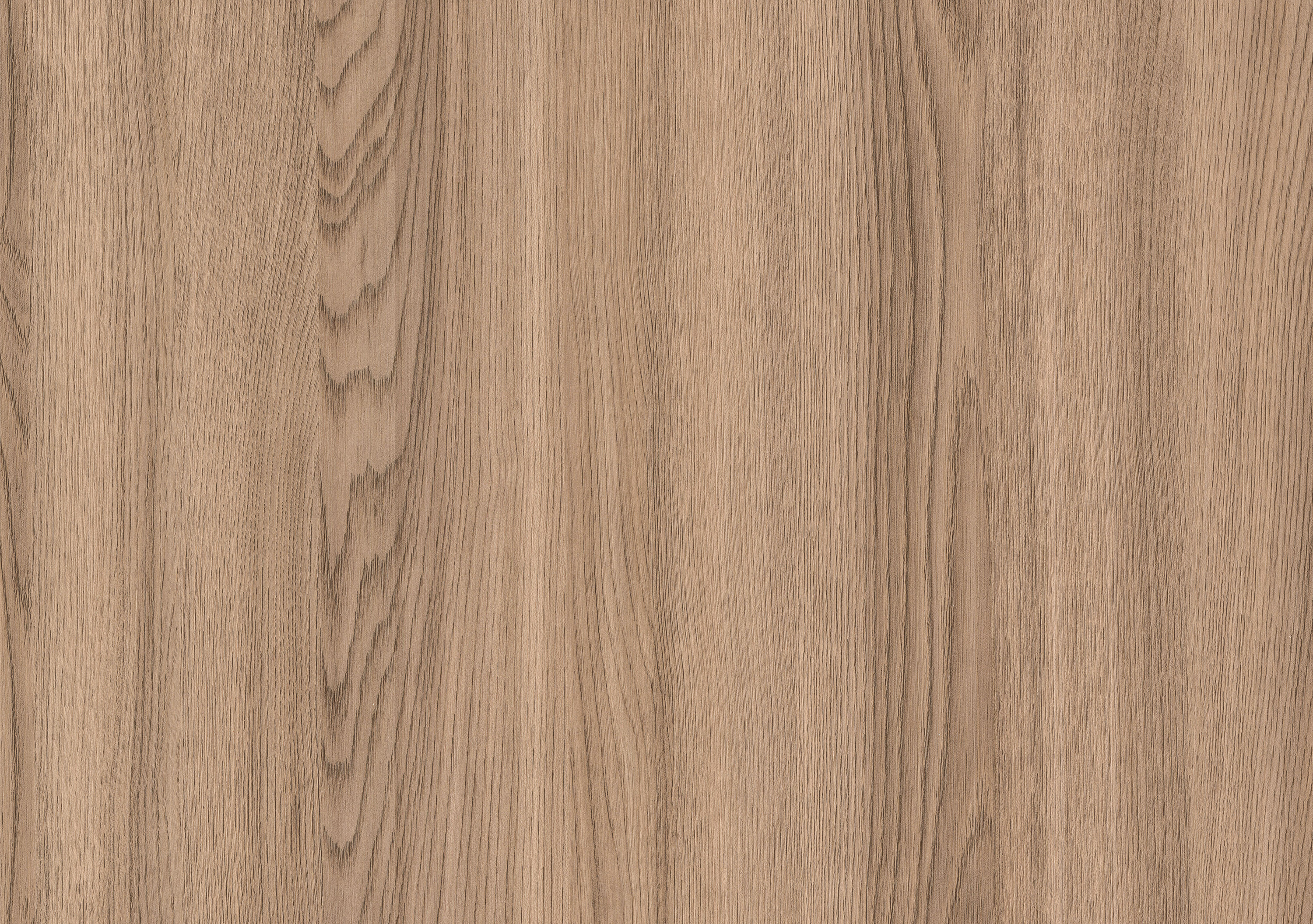 Дуб Гальяно натуральный